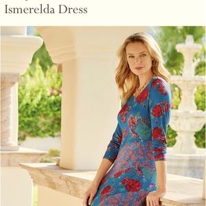 Soft Surroundings Ismerelda Long Sleeve Maxi Dress Trieste Deep Atlantic Print S